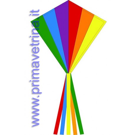 AQUILONE MONOFILO EDDY RAINBOW DELLA HQ 102115 70x58 CM.