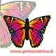 AQUILONE BUTTERLFY STALACHTIS BLU DELLA HQ 130x80 CM